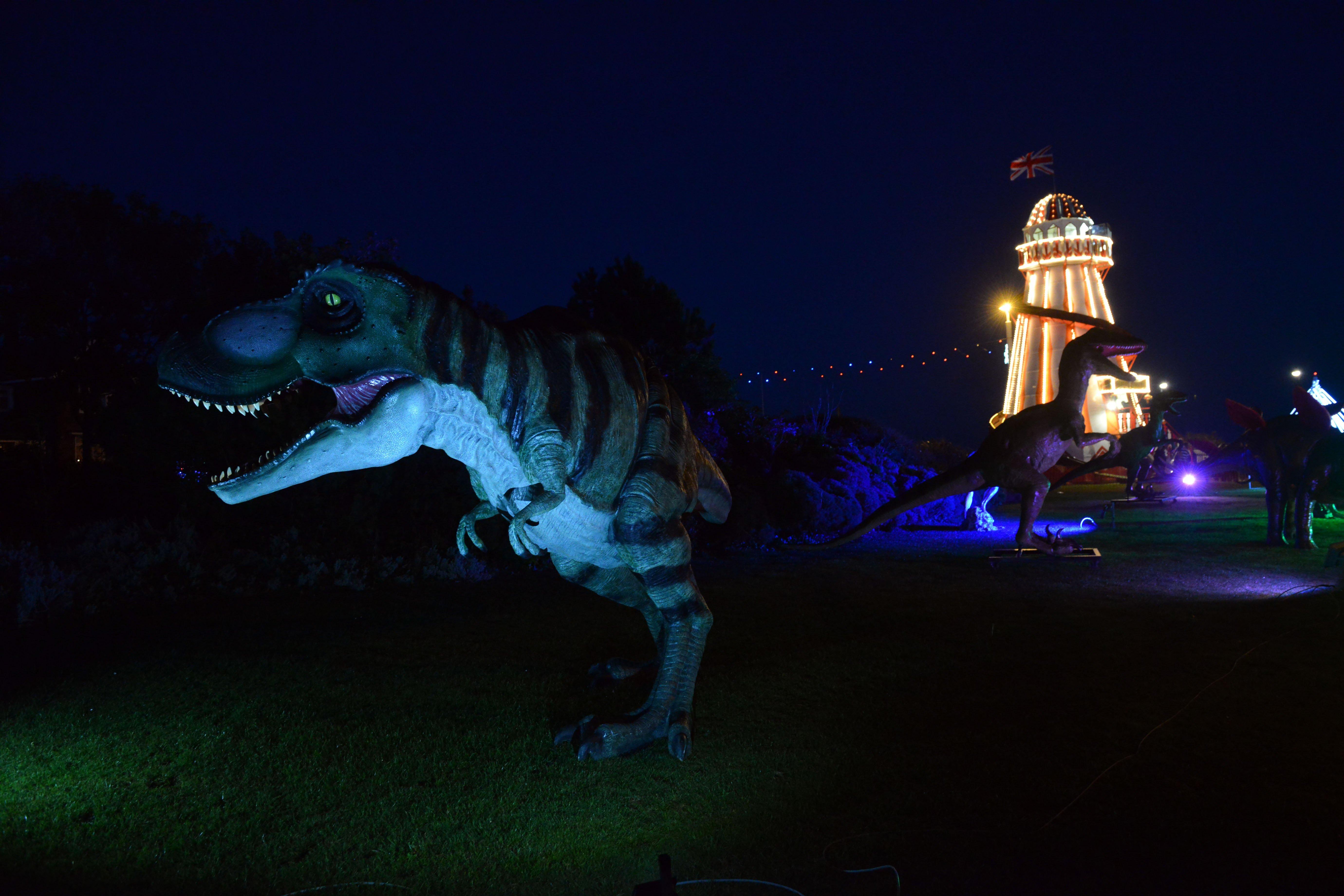 Exciting lighting installations in Roker Park for the 2018 celebrations.
