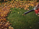 The best cordless leaf blowers 2021
