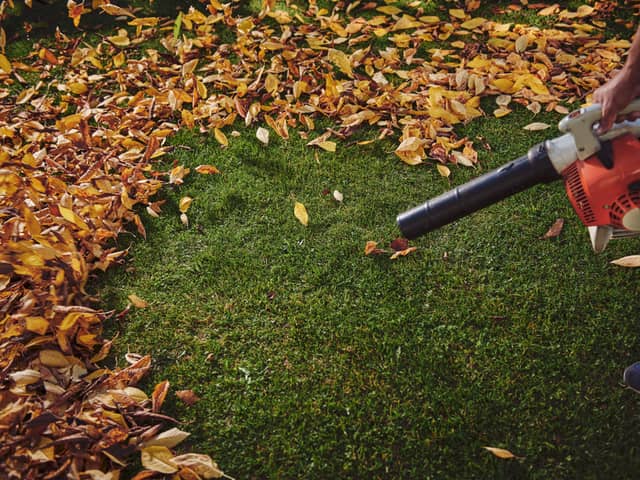 The best cordless leaf blowers 2021