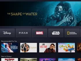 Does the new Star add-on make signing up to Disney + worth it?