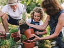 Essential gardening tools for spring 