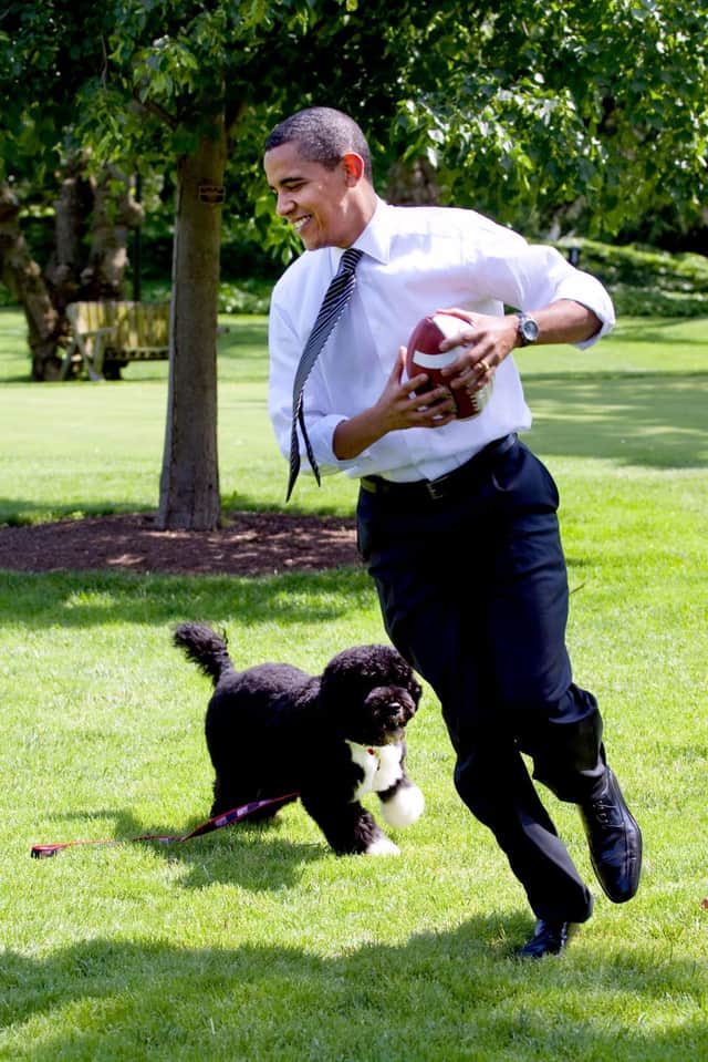 Barack Obama famously bought his dog Bo to the White House