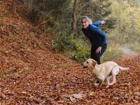 Puppy training classes: learn how to train your dog with this online programme