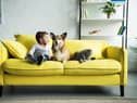 modern iterations have taken a huge leap forward in design - and, consequently, comfort. 