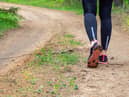 8 best walking shoes for women