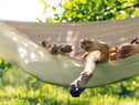 How to keep dogs cool in the sunshine