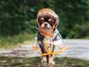 The best raincoats for staying dry and looking good this summer 