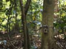 The best home wildlife cameras to photograph birds and garden animals