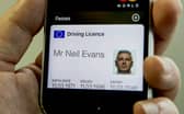 How the DVLA digital licence app could look 