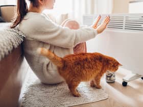 The best electric heaters for winter