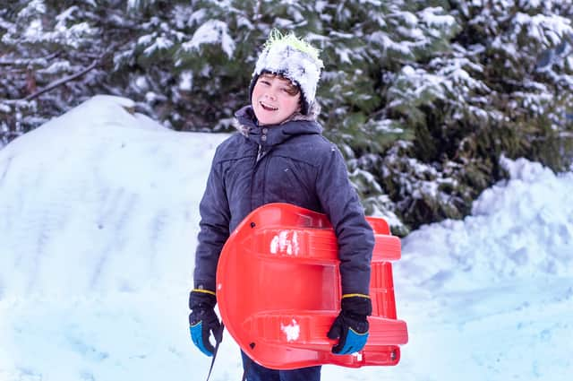 Best sleds, sledges, and tobaggans