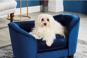 Small Navy Pet Sofa Bed