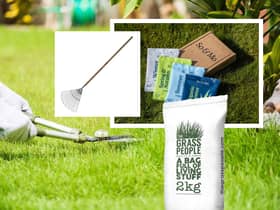 Everything you need to maintain your lawn throughout the year