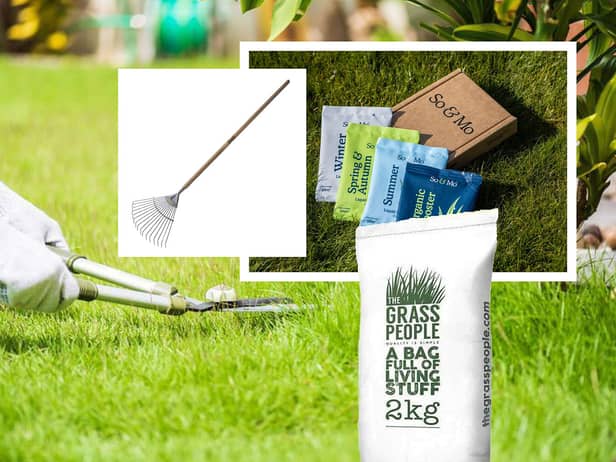 Everything you need to maintain your lawn throughout the year
