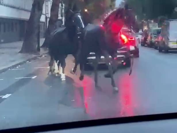 Screen grabs showing the bizarre moment three horses galloped through traffic - in the middle of London. 