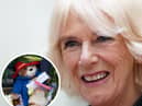 The Queen Consort, Camilla, has revealed the Paddington Bear tributes will be donated to children’s charity Barnados