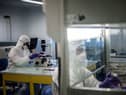 New research has been conducted on the pathogen that causes “Black Death”.