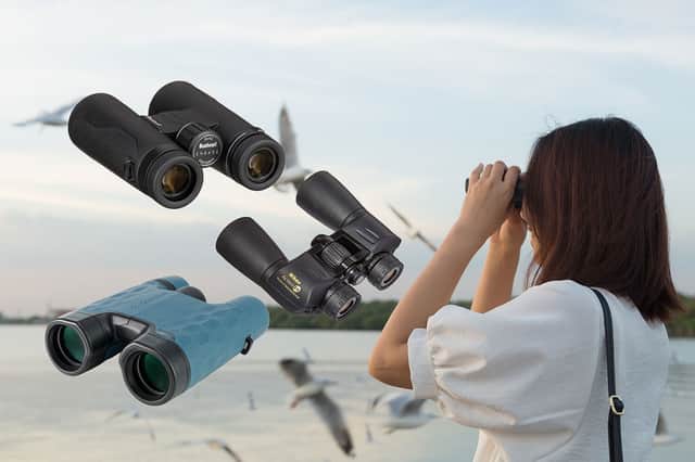 Best binoculars 2022 for birdwatching and nature hikes