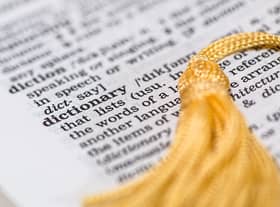 Collins Dictionary releases 2022 top words including Word Of The Year 