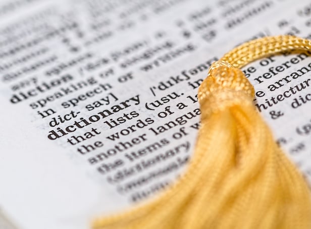 <p>Collins Dictionary releases 2022 top words including Word Of The Year </p>