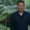 Ant and Dec on I’m A Celeb