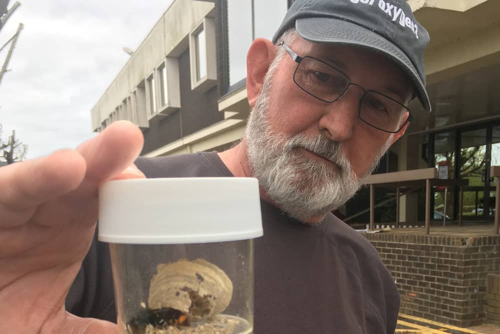 Describing the latest discovery, hunter and beekeeper John de Carteret said it should be a warning to everyone.
