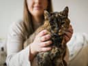 Flossie, pictured here with new owner Vicki, has been named the world’s oldest cat by the Guiness Book of World Records.