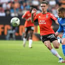 Enzo Le Fee