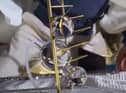 Liat Segal & Dr. Yasmine Meroz's artwork being unveiled on the ISS where microgravity allows the water to stick to the metal frame in large globules
