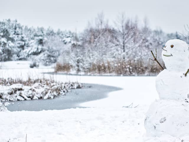 Bookies are in favour of a white Christmas this year