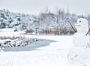 Bookies are in favour of a white Christmas this year