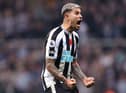 Newcastle United midfielder Bruno Guimaraes.  (Photo by George Wood/Getty Images)