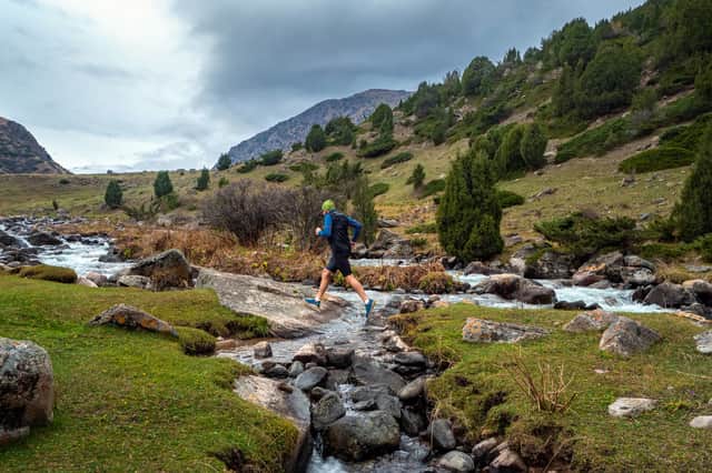 <p>Best winter running shoes for men: high grip, waterproof trail shoes</p>