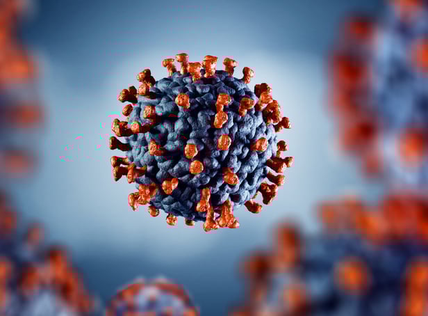 <p>The new variant is set to be more transmissible than Omicron (Adobe)</p>