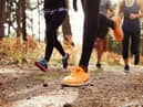 Best winter running shoes for women from On, Salomon, New Balance 