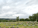 Bodies have reportedly fell out of coffins at Bedminster Down Cemetery after the people carrying them slipped on water-logged graves.