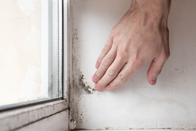 Tenants are resorting to legal action over issues such as mould in their social homes. Photo: AdobeStock