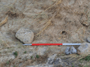 A human skull has been found during a beach clean on the Cornish coast. Photo: Cornwall Council.
