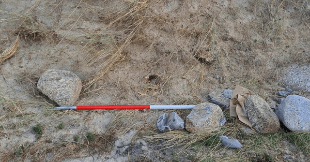 A human skull has been found during a beach clean on the Cornish coast. Photo: Cornwall Council.