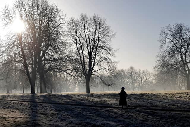 A pedestrian walks in a frost-covered Hyde Park in London during a cold spell in January 2022 (Photo: AFP via Getty Images)