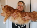 Huge cat often mistaken for a dog is now the same height as a nine-year-old child  