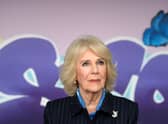 Queen Consort Camilla have tested positive for Covid-19, say Buckingham Palace officials.