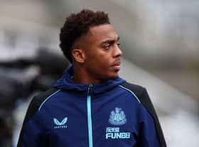 Newcastle United midfielder Joe Willock.  (Photo by Ian MacNicol/Getty Images)