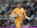 Newcastle United goalkeeper Karl Darlow. (Photo by Ian MacNicol/Getty Images)