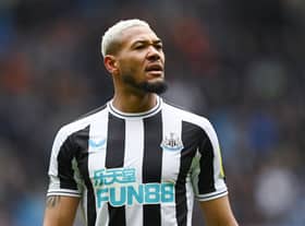 Newcastle United star Joelinton. (Photo by Michael Regan/Getty Images)