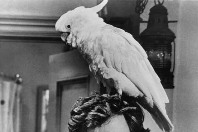 Blake was known for his leading role in 1970s TV detective series ‘Baretta’ and his role as a psychopathic killer in the film adaptation of Truman Capote's ‘In Cold Blood’.
