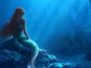 The Little Mermaid will be released in cinemas soon