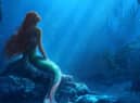 The Little Mermaid will be released in cinemas soon