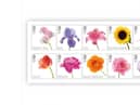 The Royal Mail said the flower collection stamps which feature the silhouette of uncrowned King Charles III are available for pre-order from Tuesday (March 14). 