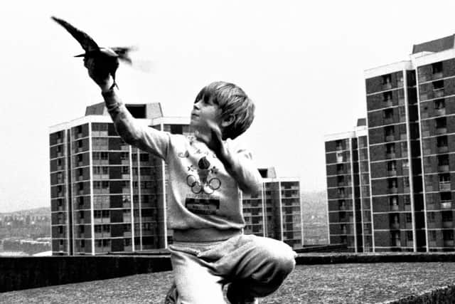 Tish Murtha’s ‘Boy With Pigeon’ will make up the single artwork for Sam Fender’s ‘People Watching’.